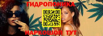 гидра Ставрополь