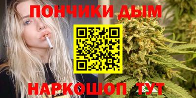 гидра Ставрополь