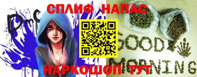 гидра Ставрополь