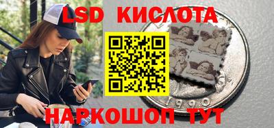 гидра Ставрополь