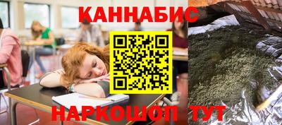 гидра Ставрополь